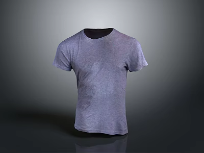 Clothing Short Sleeve Casual Clothes Clothing 3d model