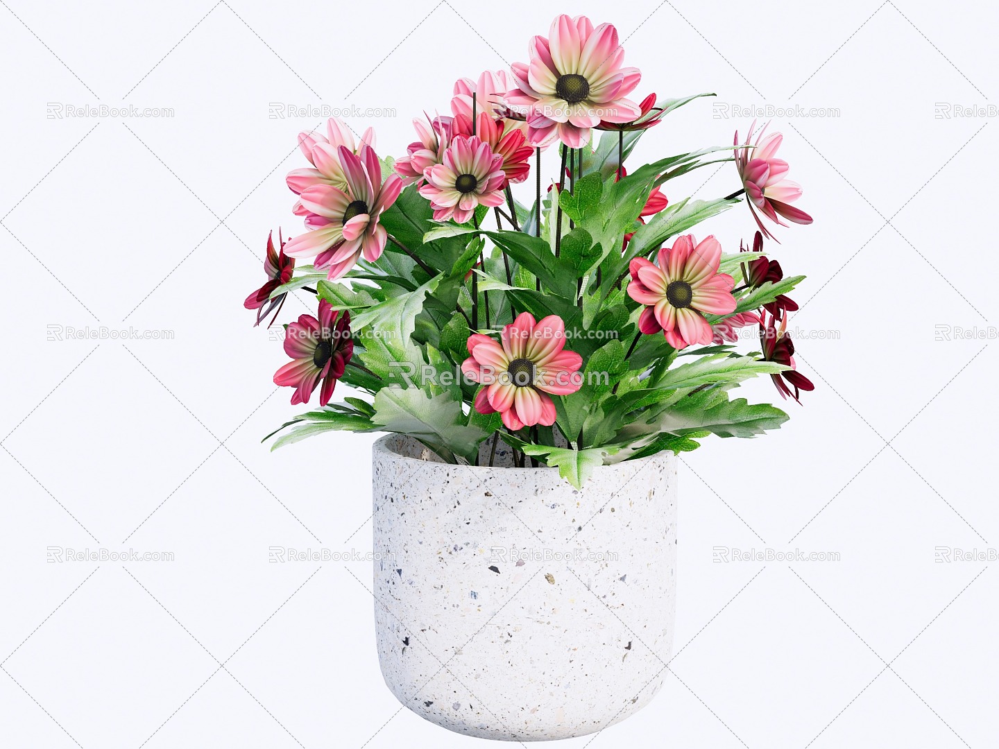 Modern indoor potted plants 3d model