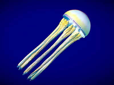 Vibrant Translucent Jellyfish With Long Yellow And Blue Tentacles In Deep Blue Background 3d model