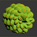 Vibrant Green Fruit With Orange Bumps And Green Stem Showing Reflection On Dark Background