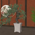 Bonsai Plant In White Decorative Pot With Circular Artwork And Orange Wooden Wall