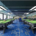 Indoor Sports Fitness Room With Blue Carpet Wooden Wall Blue Chairs And Green Billiard Table