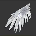 White Angelic Wings With Soft Feathers On Black Reflective Surface Showing Reflection 3d model