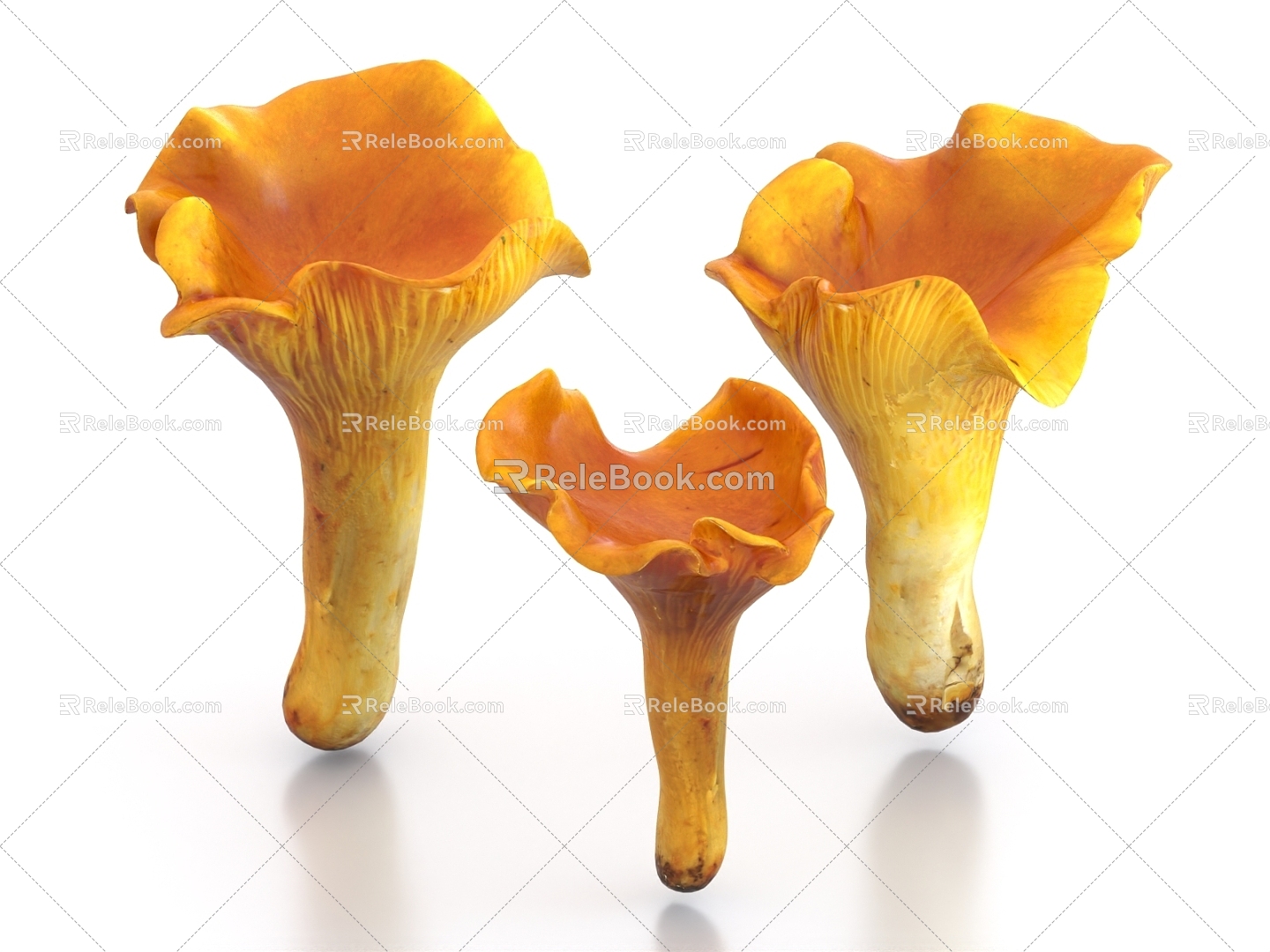 Chicken oil mushroom mushroom vegetables 3d model