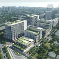 Modern Office Buildings With Green Roofs In Urban Area Surrounded By Trees