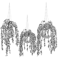 Lush Green Trailing Hanging Basket Plants In Black Pots With Chain Hangers