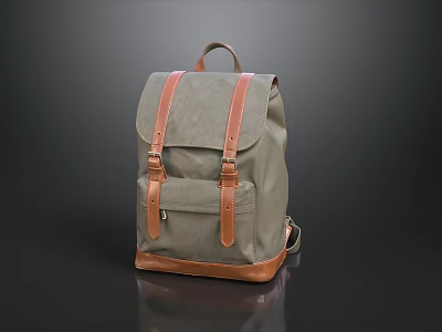 Grayish Green Canvas Backpack With Brown Leather Straps Buckle And Practical Design 3d model