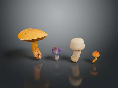 Vibrant Mushroom Collection with Diverse Shapes and Colorful Caps on Dark Background 3d model