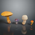 Vibrant Mushroom Collection with Diverse Shapes and Colorful Caps on Dark Background