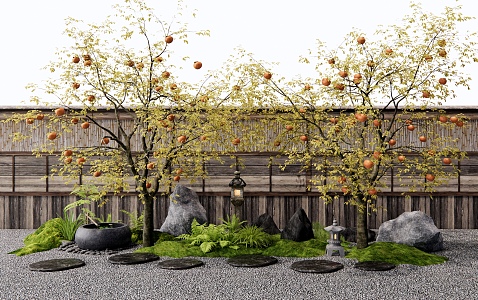 Japanese-style persimmon tree arbor landscape tree courtyard landscape sketch water pot tingbu plant landscaping stone wall 3d model