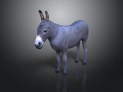 Gray Donkey Standing With White Nose And Ears Against Dark Gradient Background With Reflection 3d model