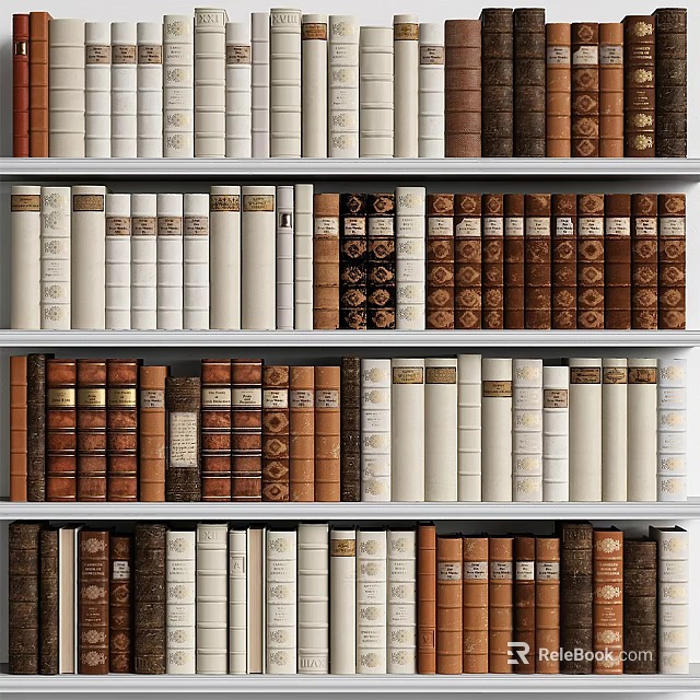Books and Magazines Neatly Arranged on Wooden Bookshelf With Various Color Covers 3d model 