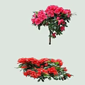 Vibrant Pink and Red Flowering Shrubs with Lush Green Foliage