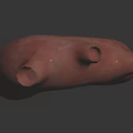 3D Rendered Human Organ Model With Pink Color And Hair Like Surface Structures