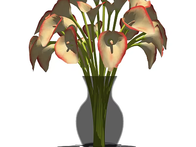 Beautiful Pink and White Calla Lily Arrangement in Glass Vase for Home Decor 3d model