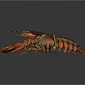 Vibrant Red Lobster With Glossy Shell And Open Claws On Black Surface