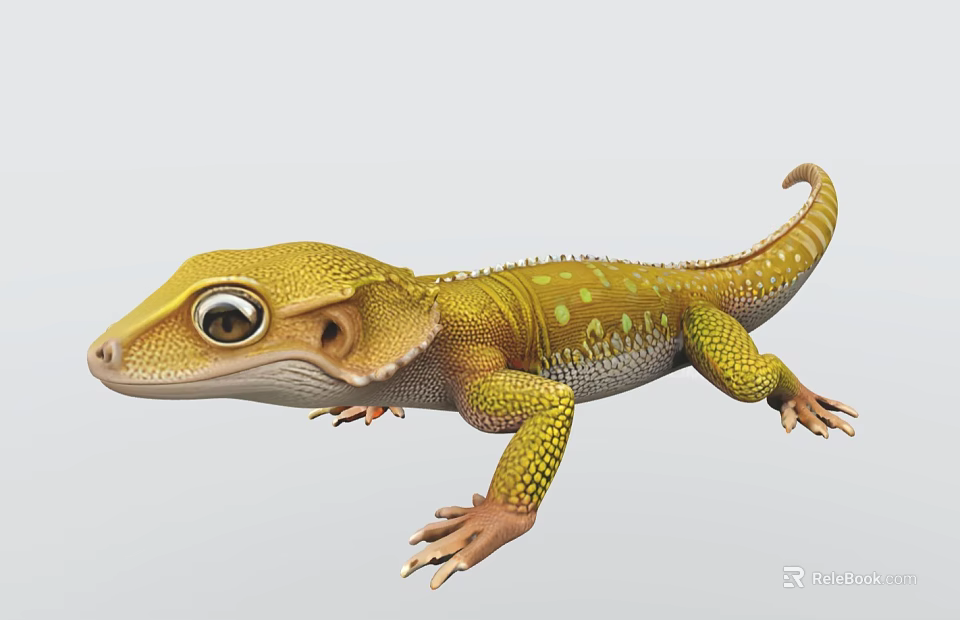 Yellow Reptile Gecko Lizard With Green Spots Large Eyes Scaled Body Curled Tail 3d model 