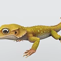 Yellow Reptile Gecko Lizard With Green Spots Large Eyes Scaled Body Curled Tail