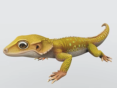 Yellow Reptile Gecko Lizard With Green Spots Large Eyes Scaled Body Curled Tail 3d model Yellow Reptile Gecko Lizard With Green Spots Large Eyes Scaled Body Curled Tail 3d model
