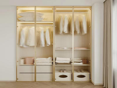 Modern Closet with Glass Doors Gold Frame Interior Lighting and Clothing Storage Boxes 3d model