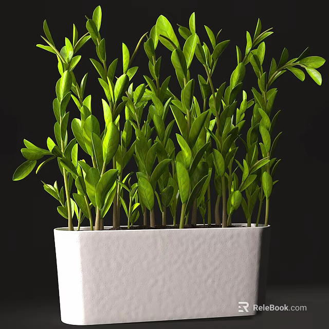 Lush Green Plants in White Hexagonal Pot on Black Background Decor 3d model
