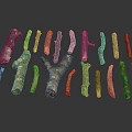 Natural Plant Branches With Various Shapes Sizes Brown Color And Green Moss On Dark Background
