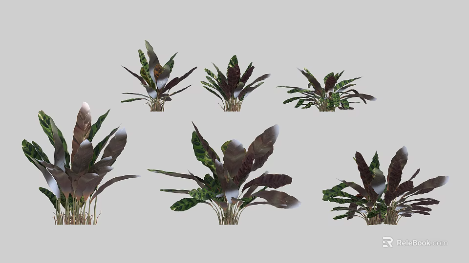 Various Leafy Shrubs With Green and Purple Brown Foliage in Different Shapes 3d model 