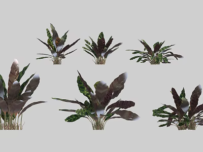 Various Leafy Shrubs With Green and Purple Brown Foliage in Different Shapes 3d model