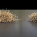 Dried Grass Plants With Spherical Shape Displayed on Dark Background Surface 3d model