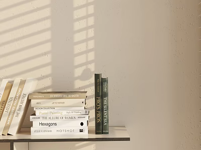Stacked Diverse Books on Bookshelf with Blinds Shadows on Wall Background 3d model