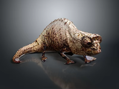 Brown And Beige Chameleon With Bark Like Skin Texture Standing On Dark Background Surface 3d model