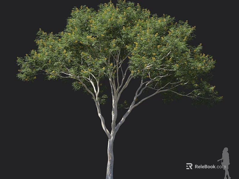 Natural Arbor With Lush Green Foliage Straight Trunk And Spreading Branches 3d model 