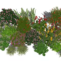 Diverse Varieties Of Flowering Shrubs With Pink Red Yellow Blooms And Lush Green Foliage