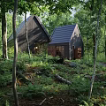 Modern Detached House Exterior In Forest With Greenery And Gravel Driveway