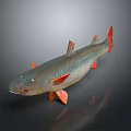 Realistic Silver Fish With Red Fins Tail And Shiny Scales On Dark Background