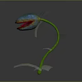 Colorful Flower Plant with Blue Red Petals Green Stem and Fern Leaves on Dark Background