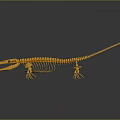 Detailed 3D Yellow Aquatic Dinosaur Skeleton Model With Long Tail And Fins