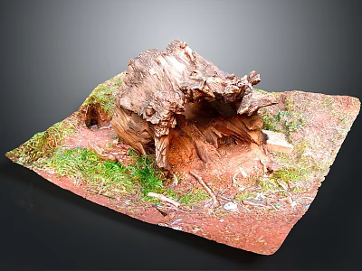Natural Tree Stump Scene Model With Green Grass And Red Dirt 3d model