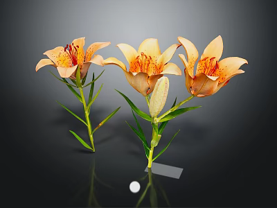 Orange Lilies in a Vase with Green Stems Leaves and Dark Background Reflection 3d model