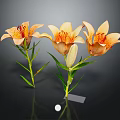 Orange Lilies in a Vase with Green Stems Leaves and Dark Background Reflection