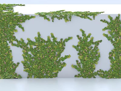 Lush Green Vines Growing On White Wall With Dense Foliage Decorative Natural Plant 3d model