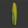 Fresh Corn Cob with Yellow Kernels and Green Leaves for Daily Use