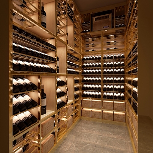 Modern Wine Cellar Stainless Steel Red Wine Cellar Cold Storage Room Constant Temperature Room Constant Temperature Cabinet Display Cabinet Cold Storage Cabinet Red Wine Cellar 3d model