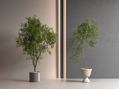 plant potted plant landing 3d model