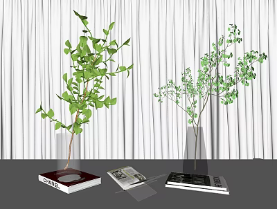 Elegant Vase with Green Plants on Table Against White Curtain and Books Background 3d model