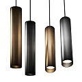 Modern Cylindrical Ceiling Lights With Black Brown Silver Metal Finish 3d model