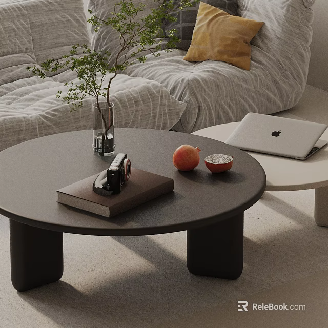 Modern Sofa Coffee Table Combination With Books Camera And Fruit On Round Tabletop 3d model