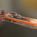Detailed Retro Orange Sci Fi Spaceship With Streamlined Design And Engines 3d model