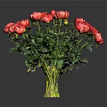 Fresh Red Peonies Bouquet In Clear Glass Vase Against Grey Background