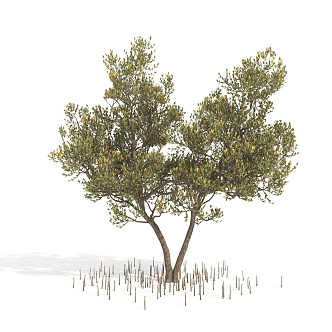 Tree Landscape Tree 3d model